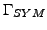 $\Gamma_{SYM}$