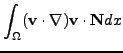 $\displaystyle \int_\Omega (\mathbf{v}\cdot \nabla) \mathbf{v}\cdot \mathbf{N}dx$
